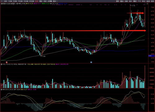 龍虎榜焦點(diǎn)股解析 捷成股份，深耕數(shù)字內(nèi)容制作服務(wù)的行業(yè)先行者